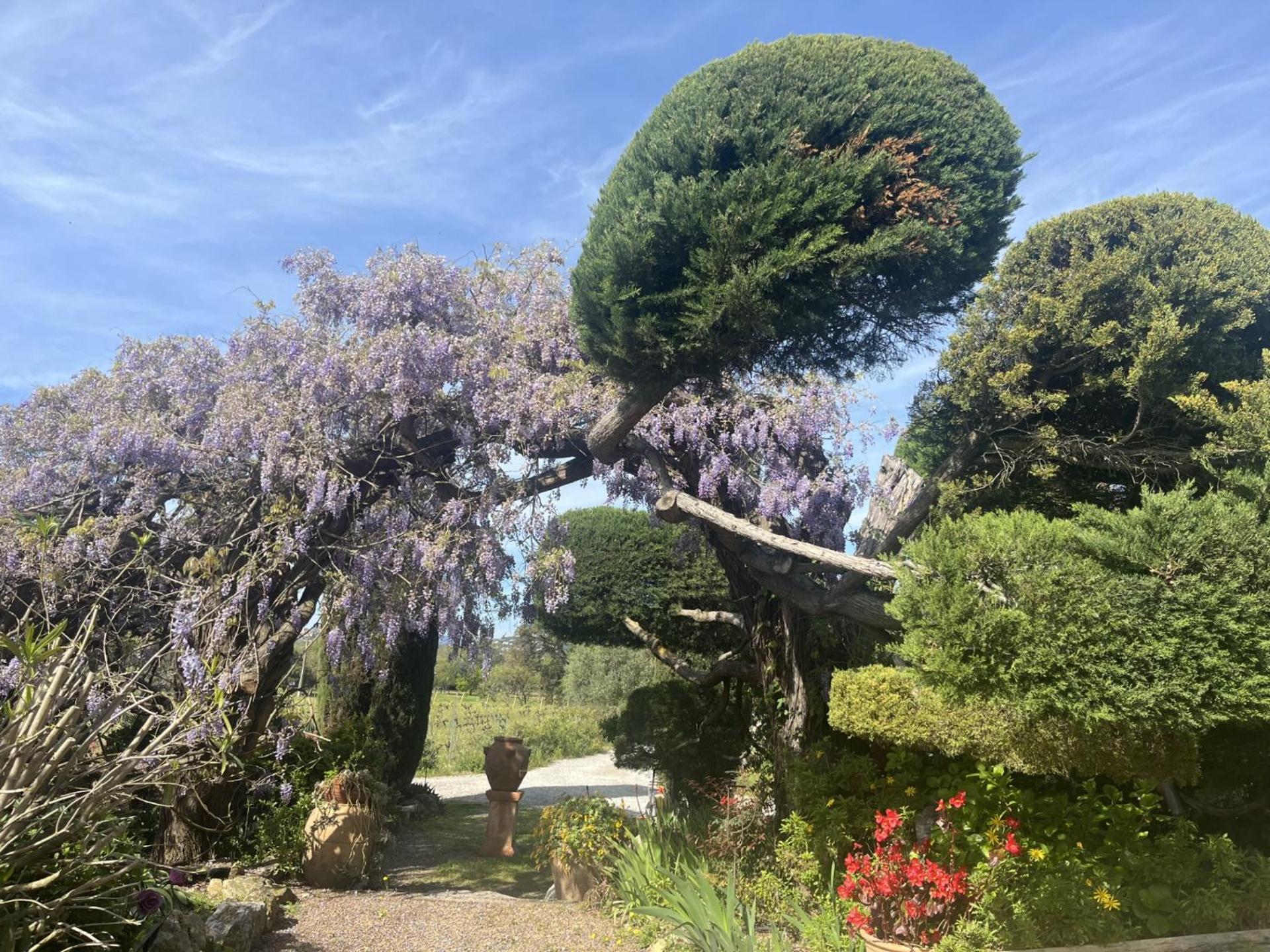 La Maison De Justine Grimaud Eksteriør billede